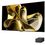 LG OLED M3
