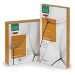 Ligne de Plantes Ligne Vit Ampolle