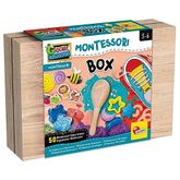 Lisciani Montessori Box