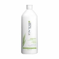 Matrix Biolage Normalizing Clean Reset Shampoo