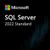Microsoft SQL Server 2022 Standard