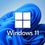 Microsoft Windows 11 Home