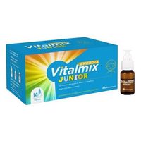 Montefarmaco Vitalmix Energia Junior Flaconcini