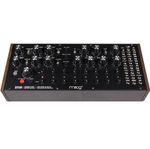 Moog DFAM (Drummer From Another Mother) Sintetizzatore Analogico