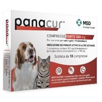 MSD Animal Health Panacur Forte 500 Mg