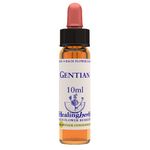 Natur Fiori di Bach Healing Herbs Gentian