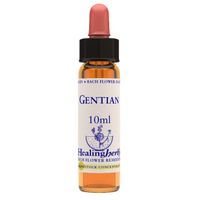 Natur Fiori di Bach Healing Herbs Gentian