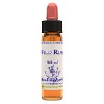 Natur Fiori di Bach Healing Herbs Wild Rose