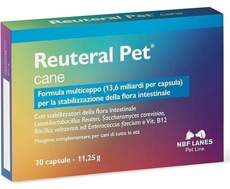 RIBES PET RECOVERY (60 Perle) - Supporto Veterinario In - Foto 3