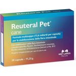 NBF Lanes Reuteral Pet Cane