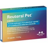 NBF Lanes Reuteral Pet Cane