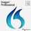 Nuance Dragon Professional 16