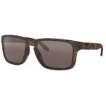 Oakley Holbrook XL