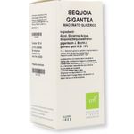 Oti Sequoia Gigantea Macerato Glicerico
