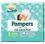 Pampers Baby-Dry 1