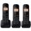 Panasonic KX-TGB613JT