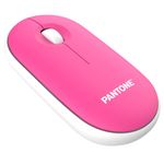 Pantone PT-MS001P1