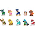 Paw Patrol Gift Set Anniversario 10 Anni
