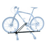 Peruzzo Top Bike