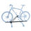 Peruzzo Top Bike