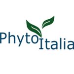 Phytoitalia The Verde Capsule