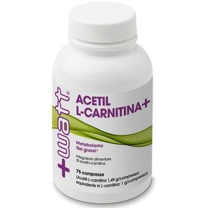 +Watt Acetil-L-Carnitina+ Capsule