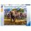 Ravensburger Famiglia di Elefanti