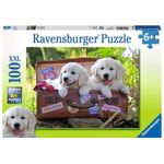 Ravensburger Meritata Pausa