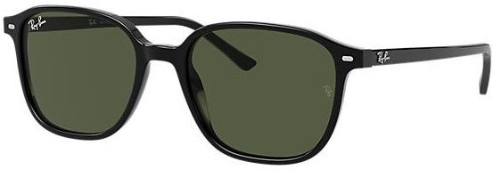 Ray-Ban Leonard