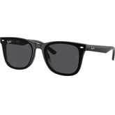 Ray-Ban RB4420