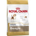 Royal Canin Beagle Adult - secco