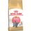 Royal Canin Kitten British Shorthair Gatto - secco