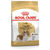 Royal Canin Cavalier King Charles Adult - secco