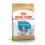 Royal Canin Dalmata Puppy - secco