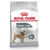 Royal Canin Dental Care Mini Cane - secco
