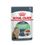 Royal Canin Digest Sensitive Adult Gatto - umido