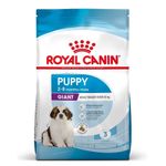 Royal Canin Giant Puppy - secco