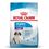 Royal Canin Puppy Giant Cane - secco