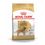 Royal Canin Golden Retriever Adult - secco