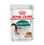 Royal Canin Instinctive in Salsa Gatto - umido
