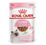 Royal Canin Kitten Bocconcini in Salsa Gatto - umido