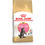 Royal Canin Kitten Maine Coon Gatto - secco