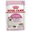 Royal Canin Kitten Patè Gatto - umido