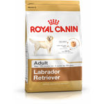 Royal Canin Adult Labrador Retriever Cane - secco