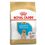 Royal Canin Puppy Labrador Retriever Cane - secco
