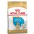 Royal Canin Labrador Retriever Puppy - secco