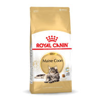Royal Canin Adult Maine Coon Gatto - secco