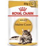 Royal Canin Adult Maine Coon Gatto - umido