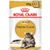 Royal Canin Adult Maine Coon Gatto - umido
