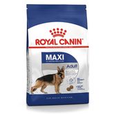 Royal Canin Maxi Adult Cane - secco